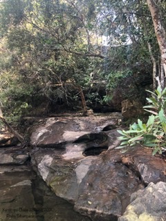 DCAF9-E56-EC08-437-A-9849-0-A3208-A0180-