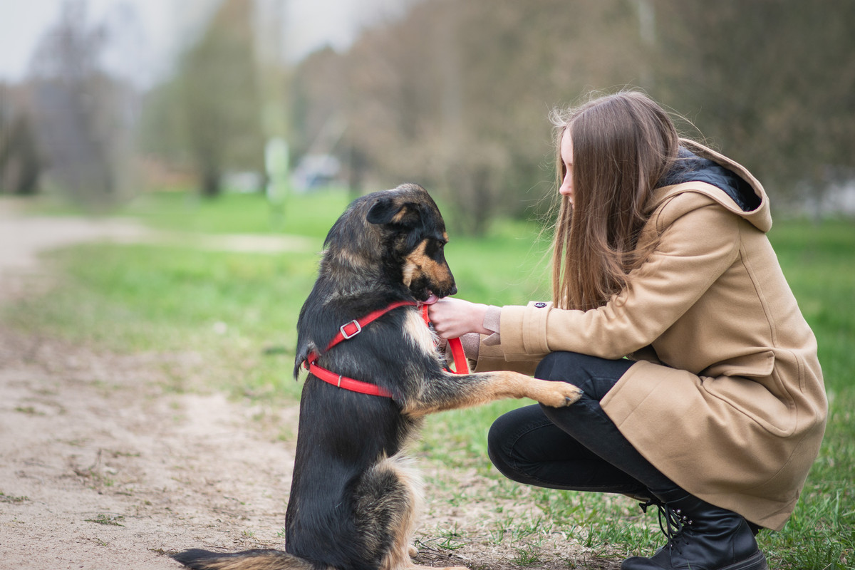 610_9368_гомель