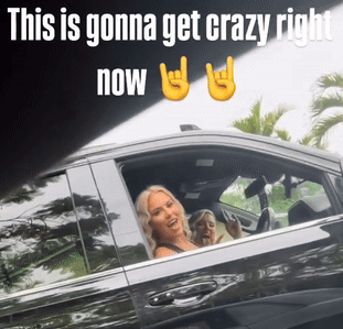 db1.gif