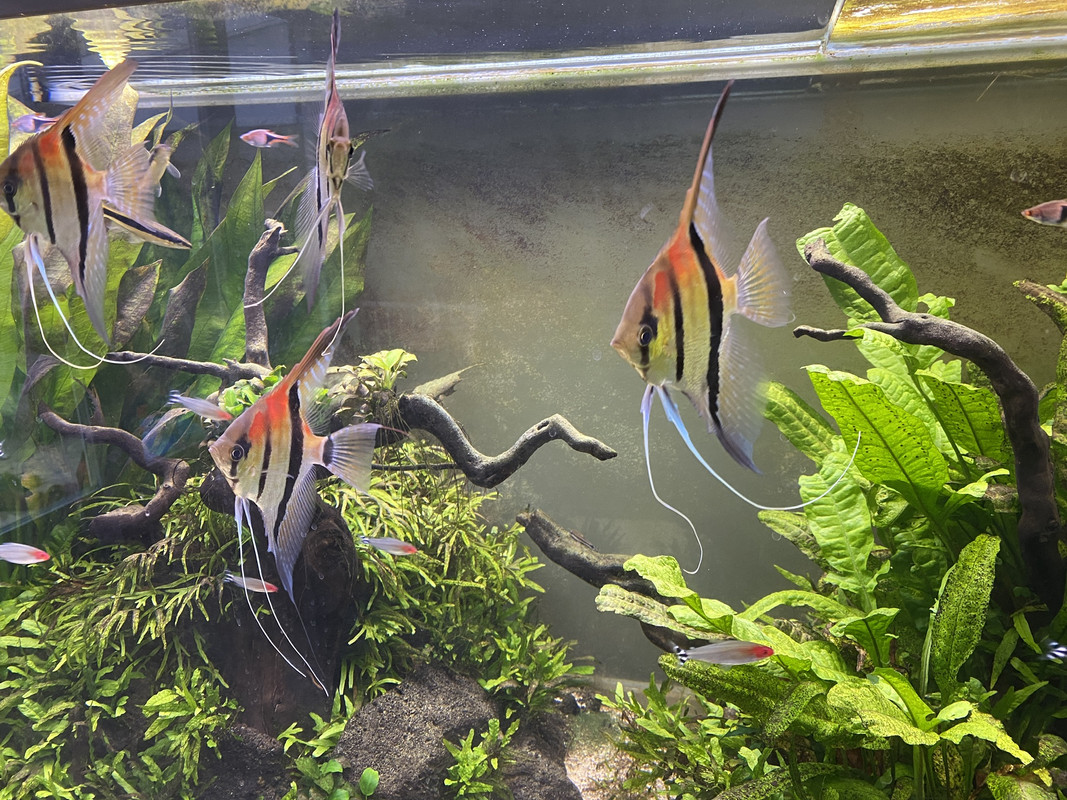 2D1AEB67-CD60-49B7-A60F-D07CBE0C361F