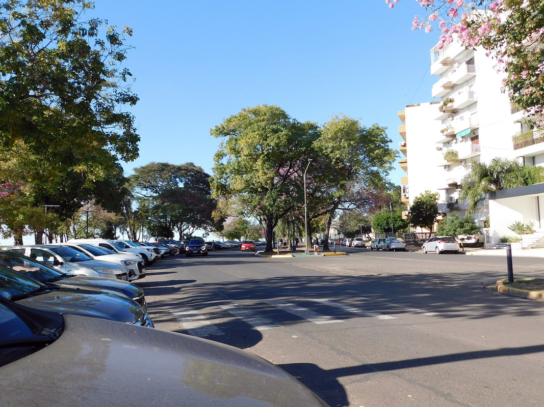 DSCN0626.jpg