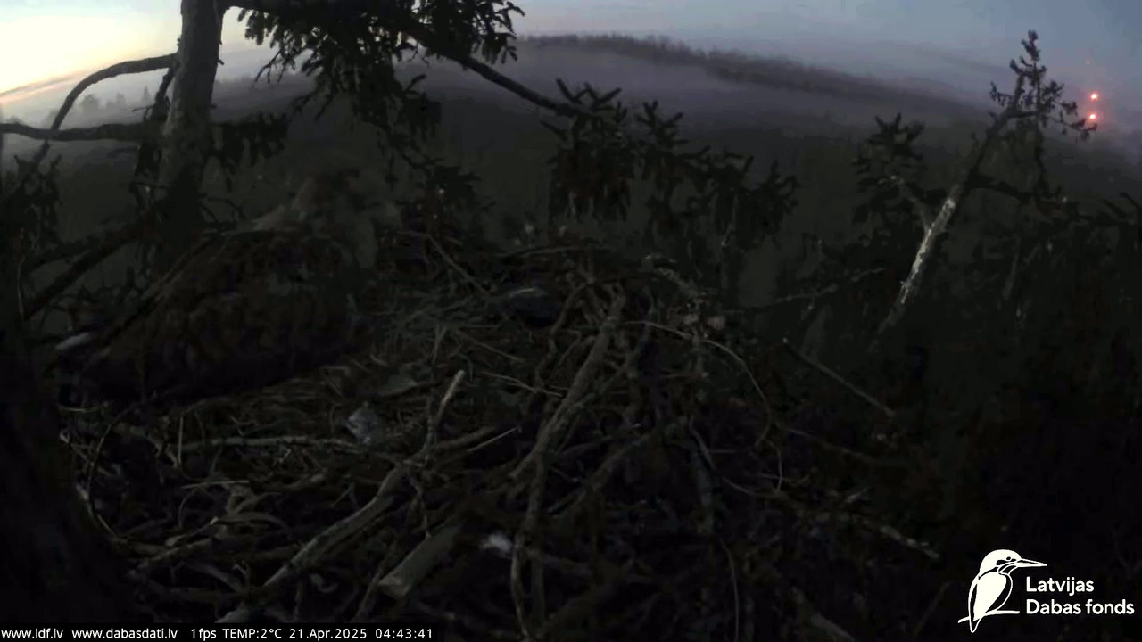 vlcsnap-2025-04-21-07h10m29s838