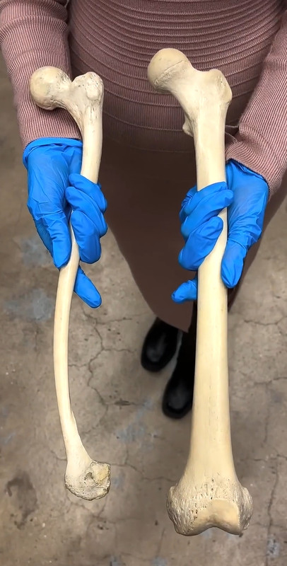 AISelect 20251116 091556 Reddit