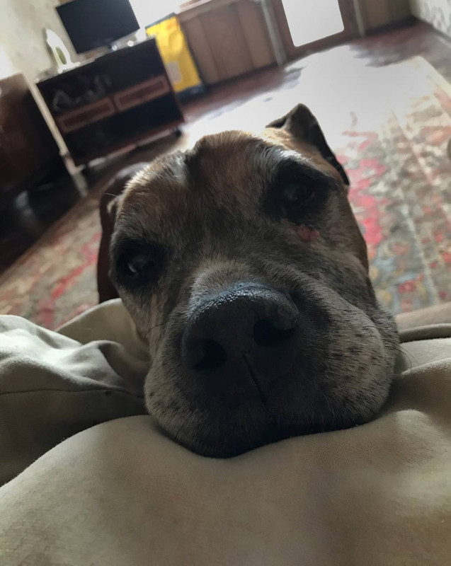 070B153B-F831-4350-90E7-F3DFA84EEEA3