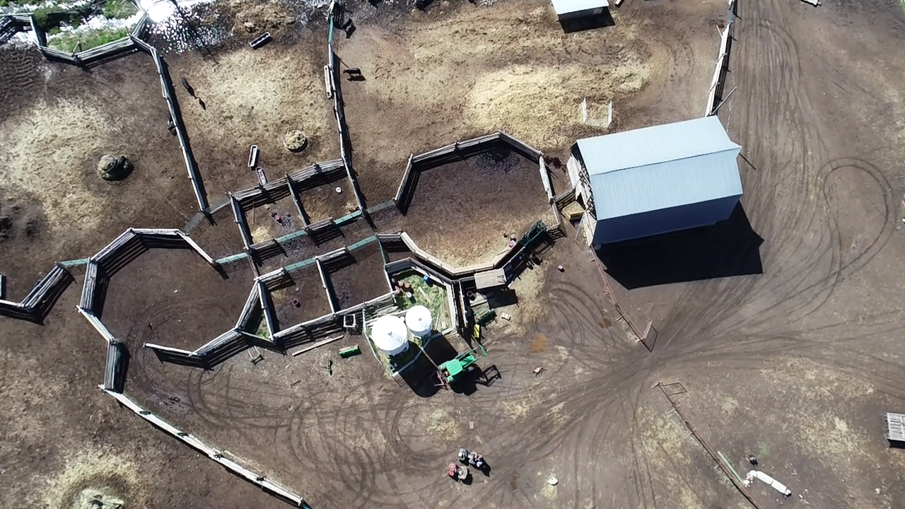 78956DF4-B99C-44C5-8B28-653CED65AD77