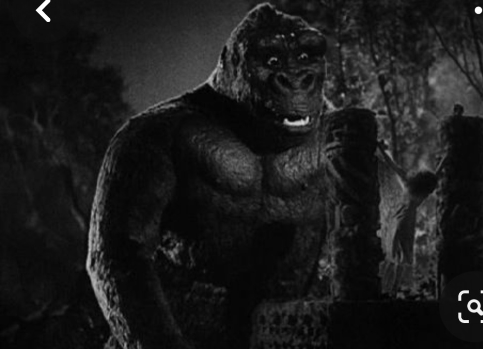 Screenshot_20240212_220417_Pinterest