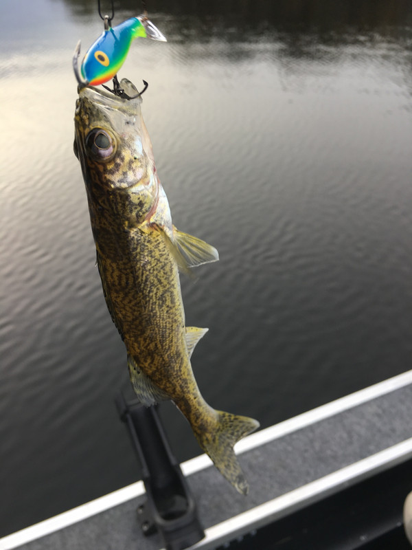 238E152F-3A4D-421D-B1CB-C5E89AA7FED4