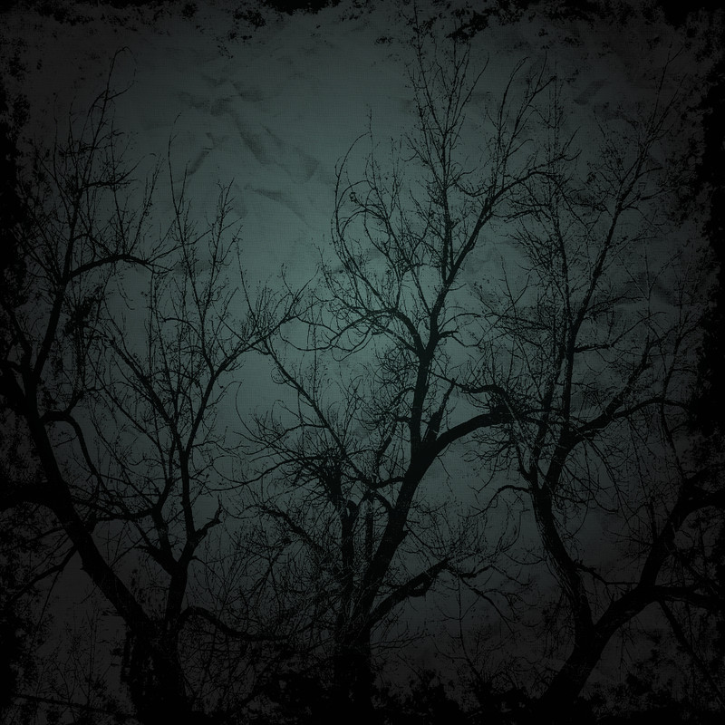 Autumn Witchery Papers (39)