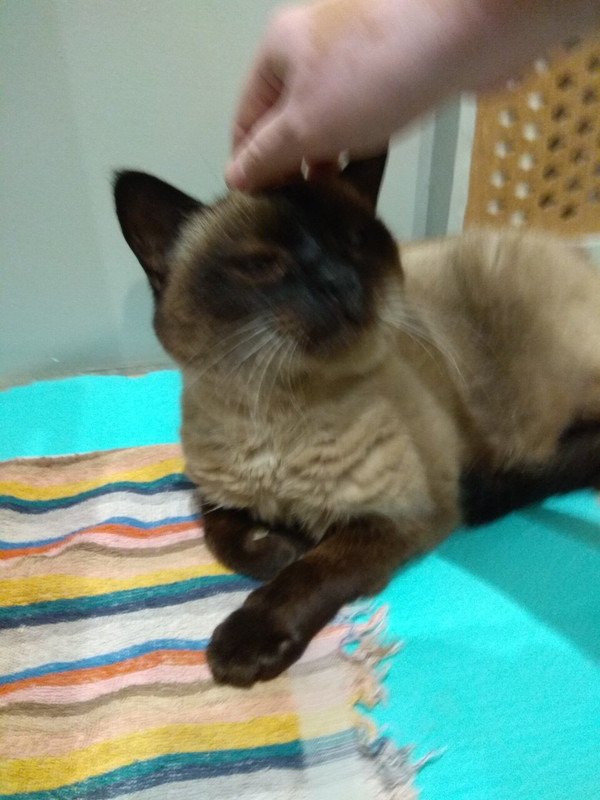 E087145E-6B61-4478-9A2F-66C89C2558DD