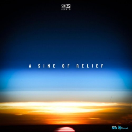 VA   A SINE OF RELIEF (2020) flac