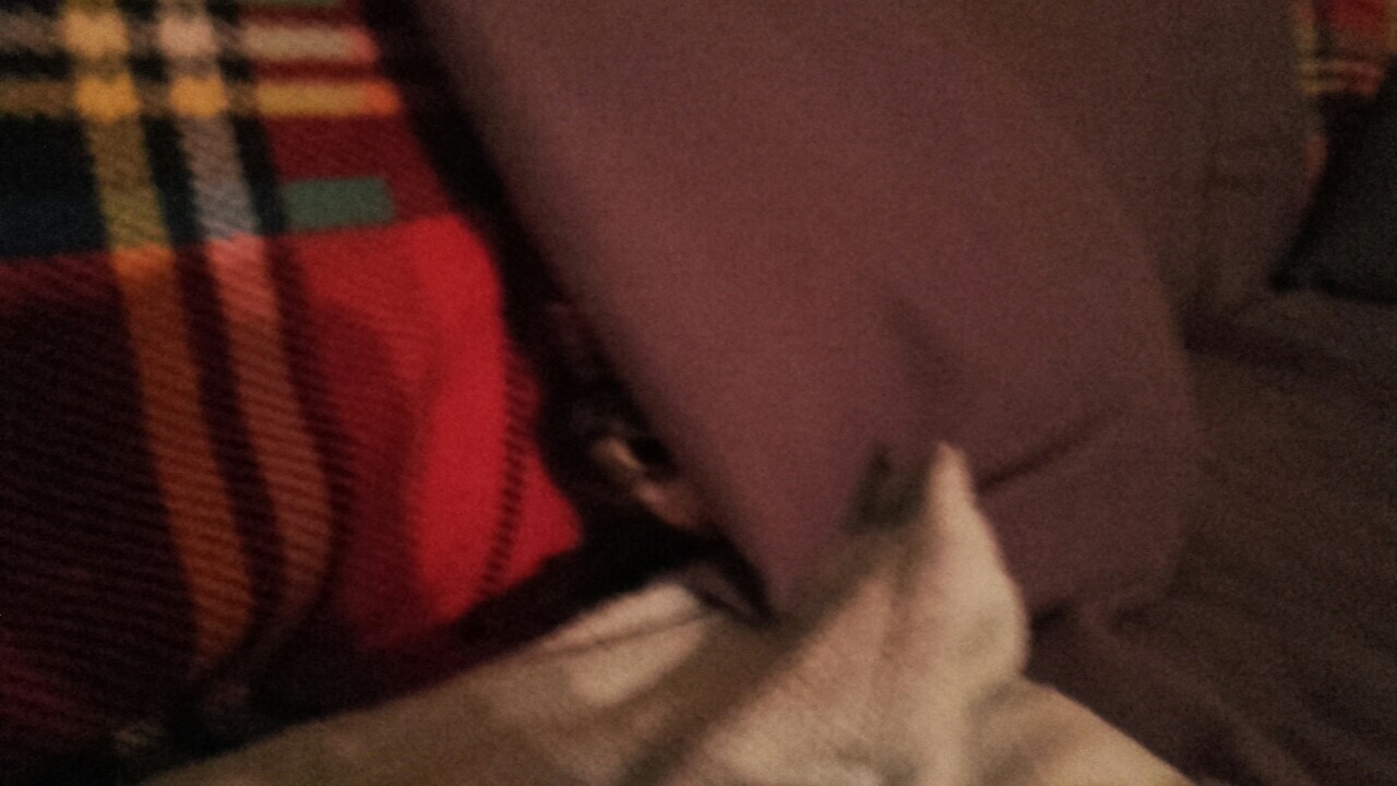 3F162704-67D7-4208-8AAF-235742205394