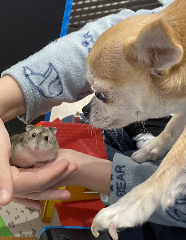 17816C26-293E-4BFA-87A0-A7ECC814B493