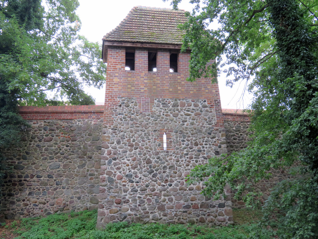 IMG-0853-2.jpg