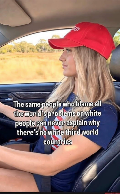 Screenshot 2026 06 14 at 09 13 14 Meme Political Page 1417 Yellow Bullet Forums