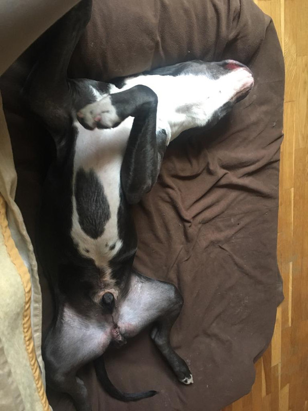 A28FCB12-B30B-4045-8E17-FCF10747B26E