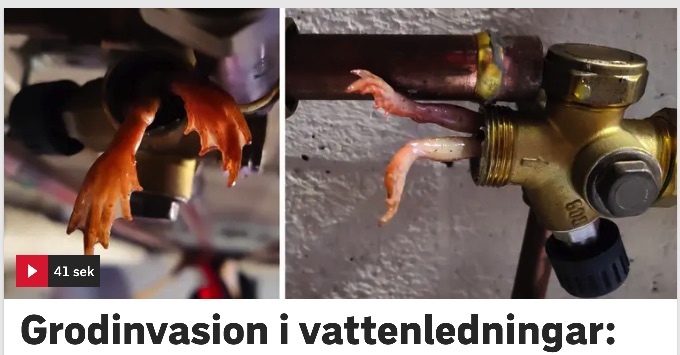boll.jpg