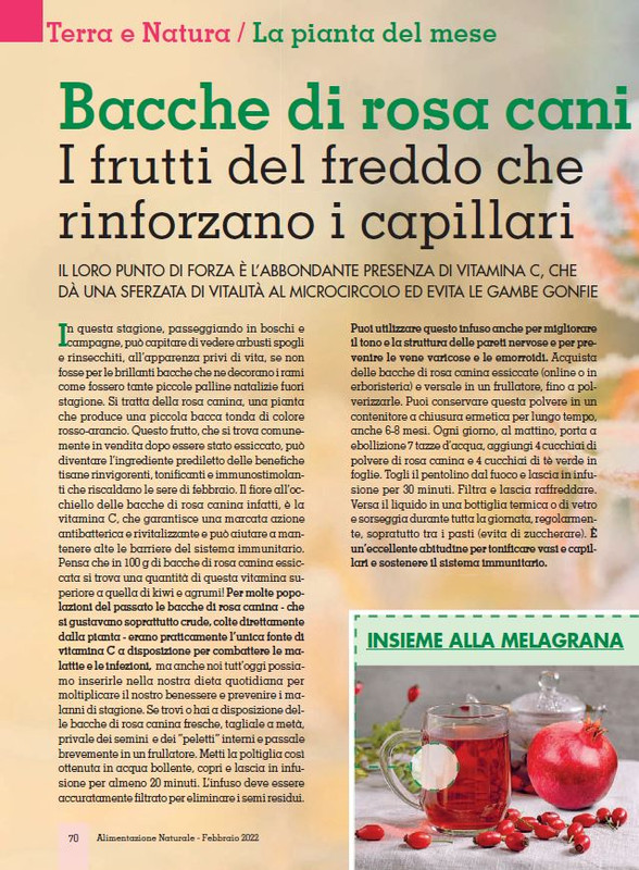 Alim Nat Feb 2022 (11)