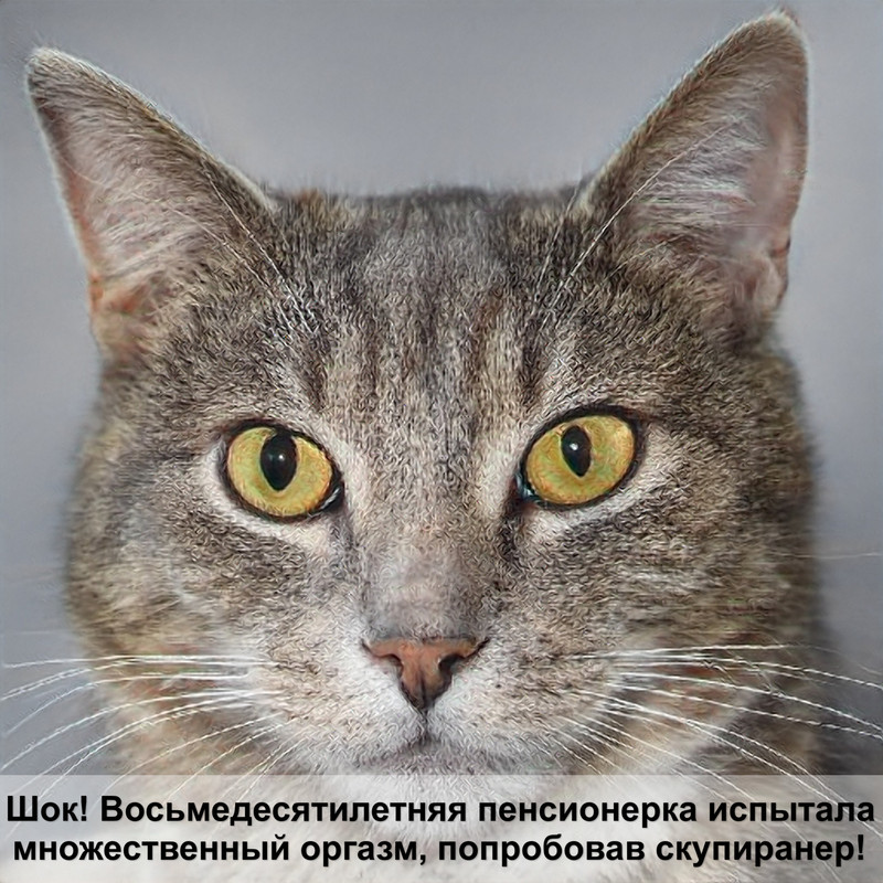 какие кошки ловят мышей