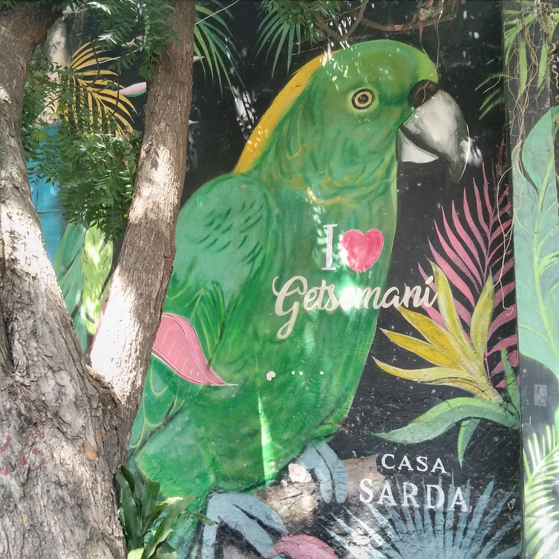 Зимовка 2026, полтора месяца в Колумбии.