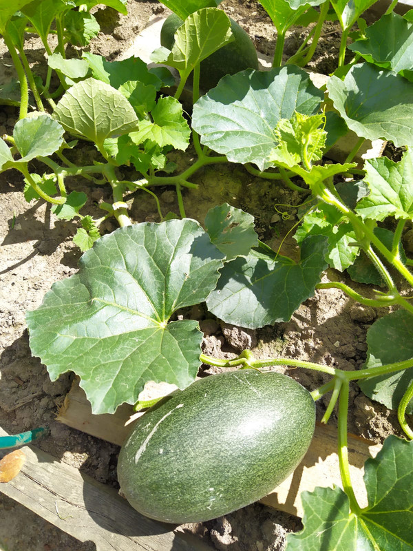 A8041038-5A34-4CFE-B8B2-4A42E7C64853