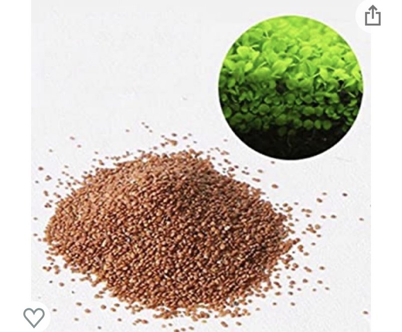 7181DB71-13E0-4954-ABD0-F179CDCD31CA