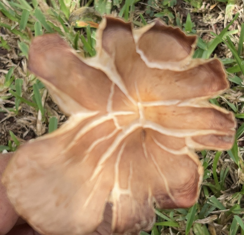 EB056605-FE35-463D-B607-5985CAC22F44