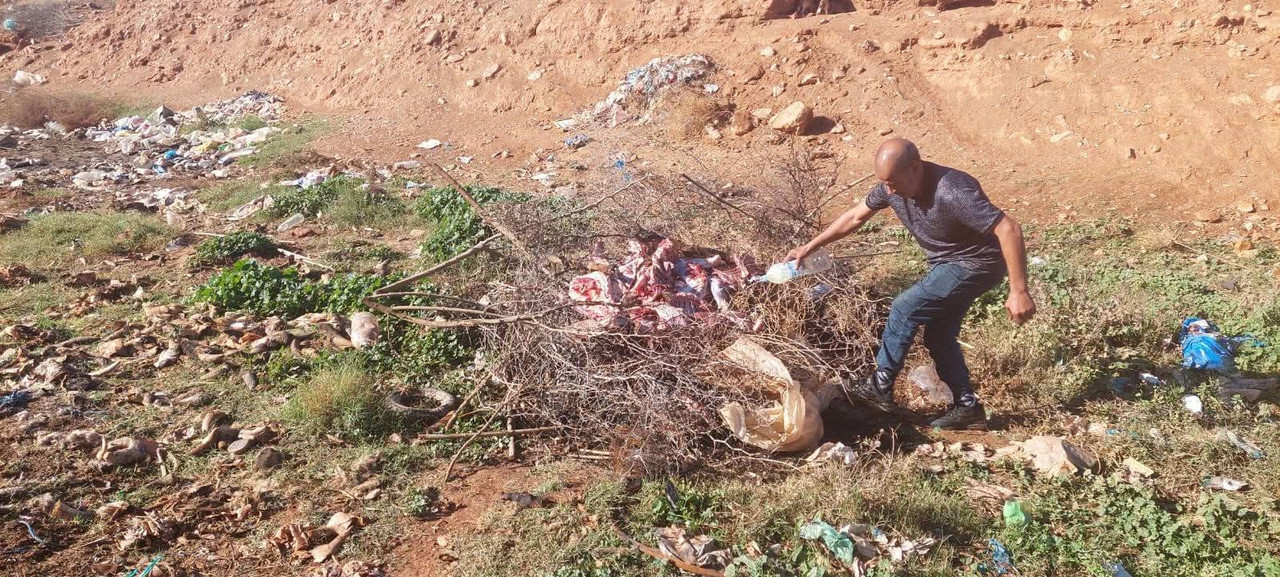 591219653-2920157918169409-8982395891169640701-n