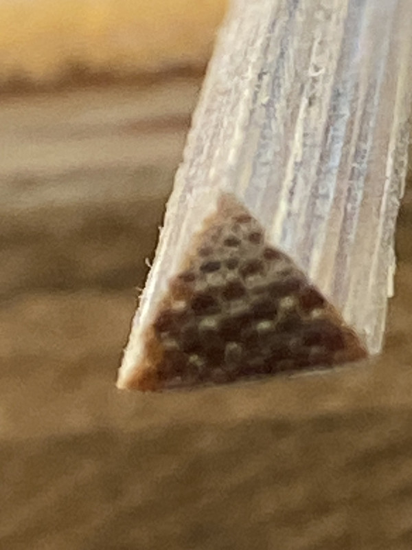 272B1D89-9CAE-44D7-9BD9-FC3EBD435BF7