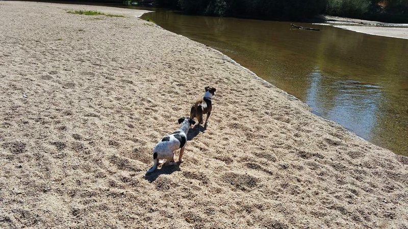 PLAYA DE ESCALONA-25-9-2016-TOLEDO - Paseando por España-1991/2016 (8)
