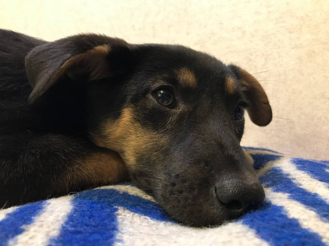 7CF5AA37-2AB3-4458-BC10-AE01A5B5B545