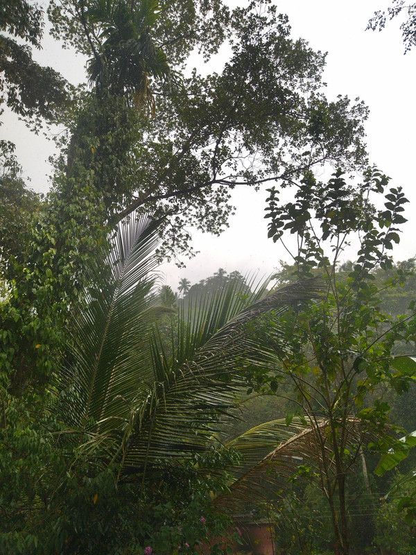 IMG-20220326-142745.jpg