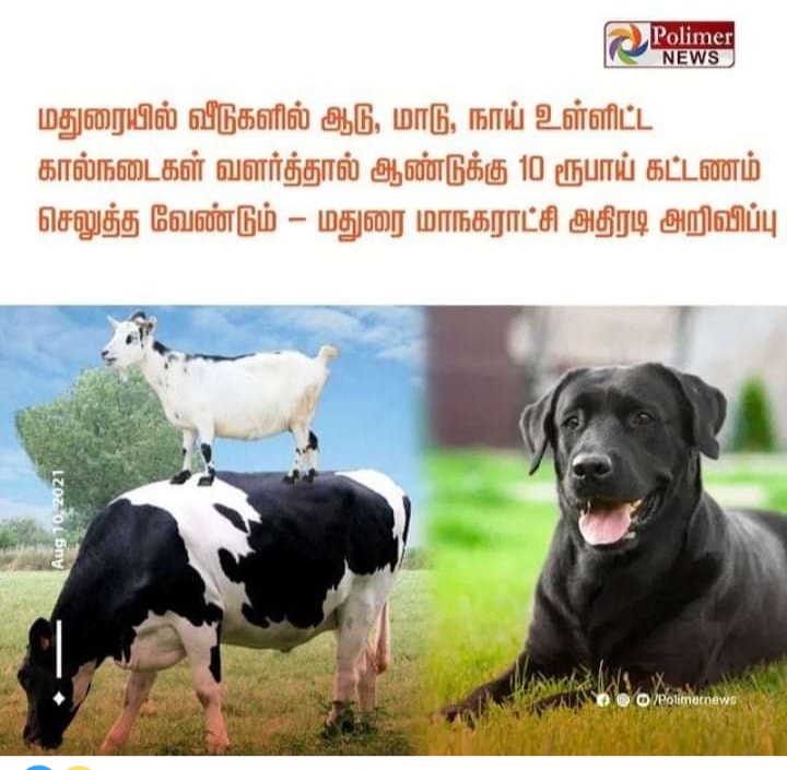 Screenshot-2021-08-18-11-42-05-726-com-a