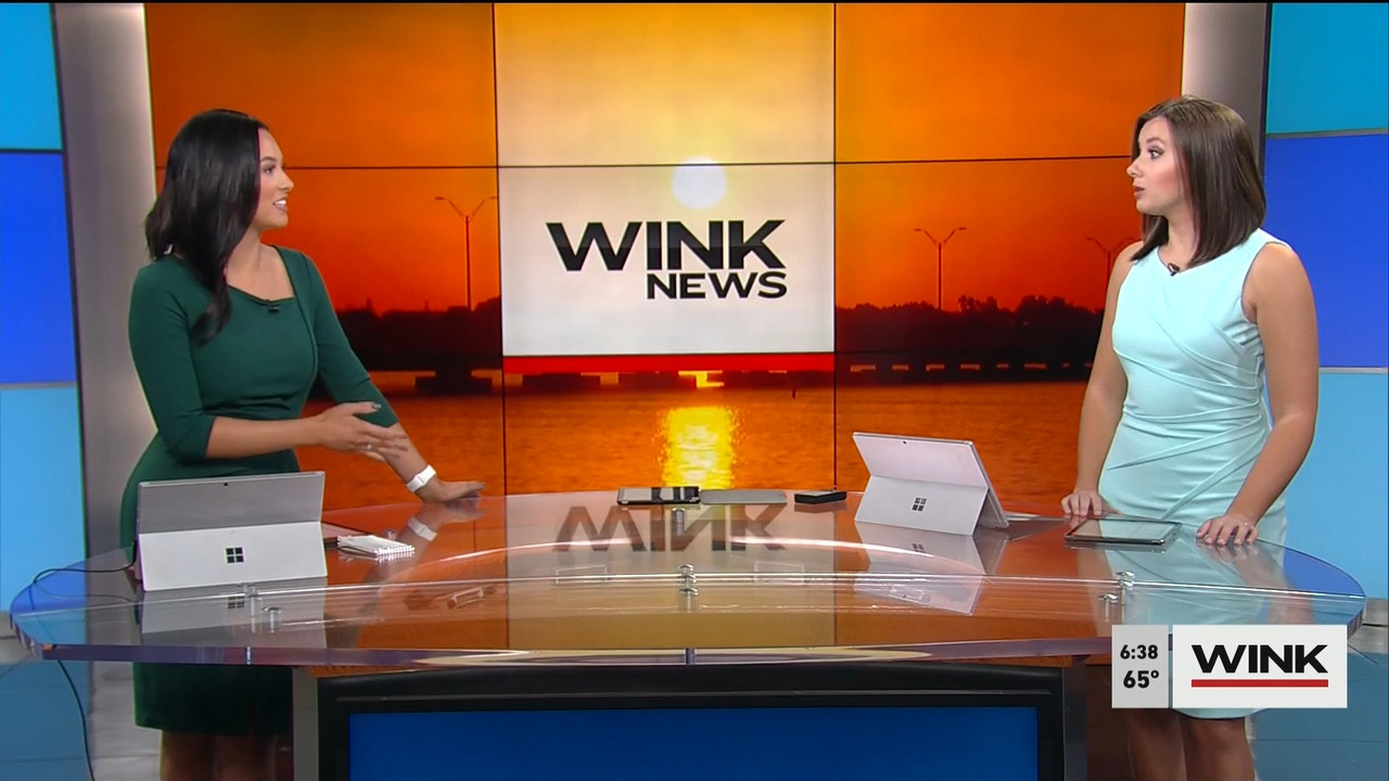 02.06 - 11.00.00 - WINK News @ 6 00am..ts_snapshot_44.43.989