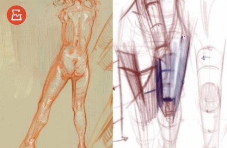 Figure drawing – FORM/STRUCTURE