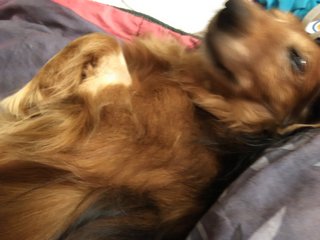 [Image: IMG-20211020-200329.jpg]