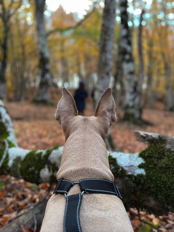 FA6C3D18-4A4B-4EEB-BA98-26260E6266C5