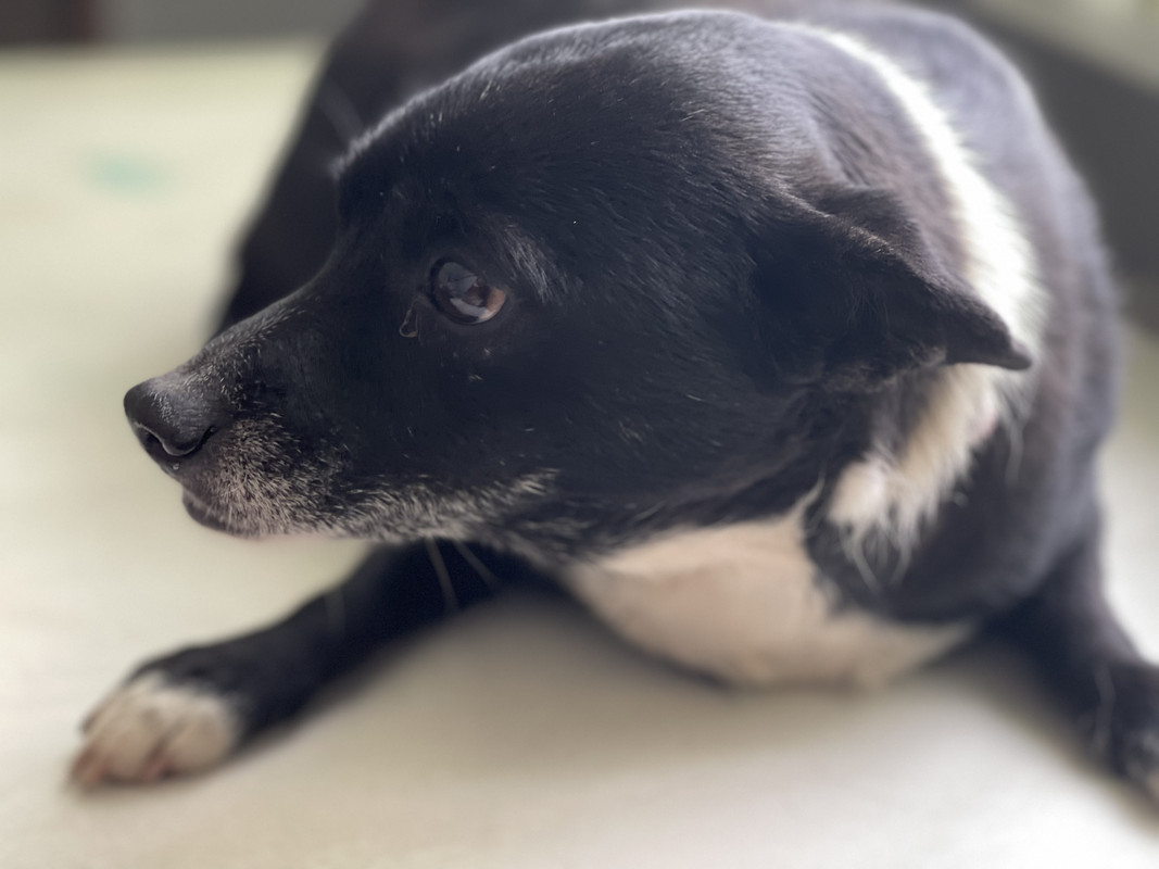 5D5358DE-4385-4D0E-BD66-D8C27336DDB6