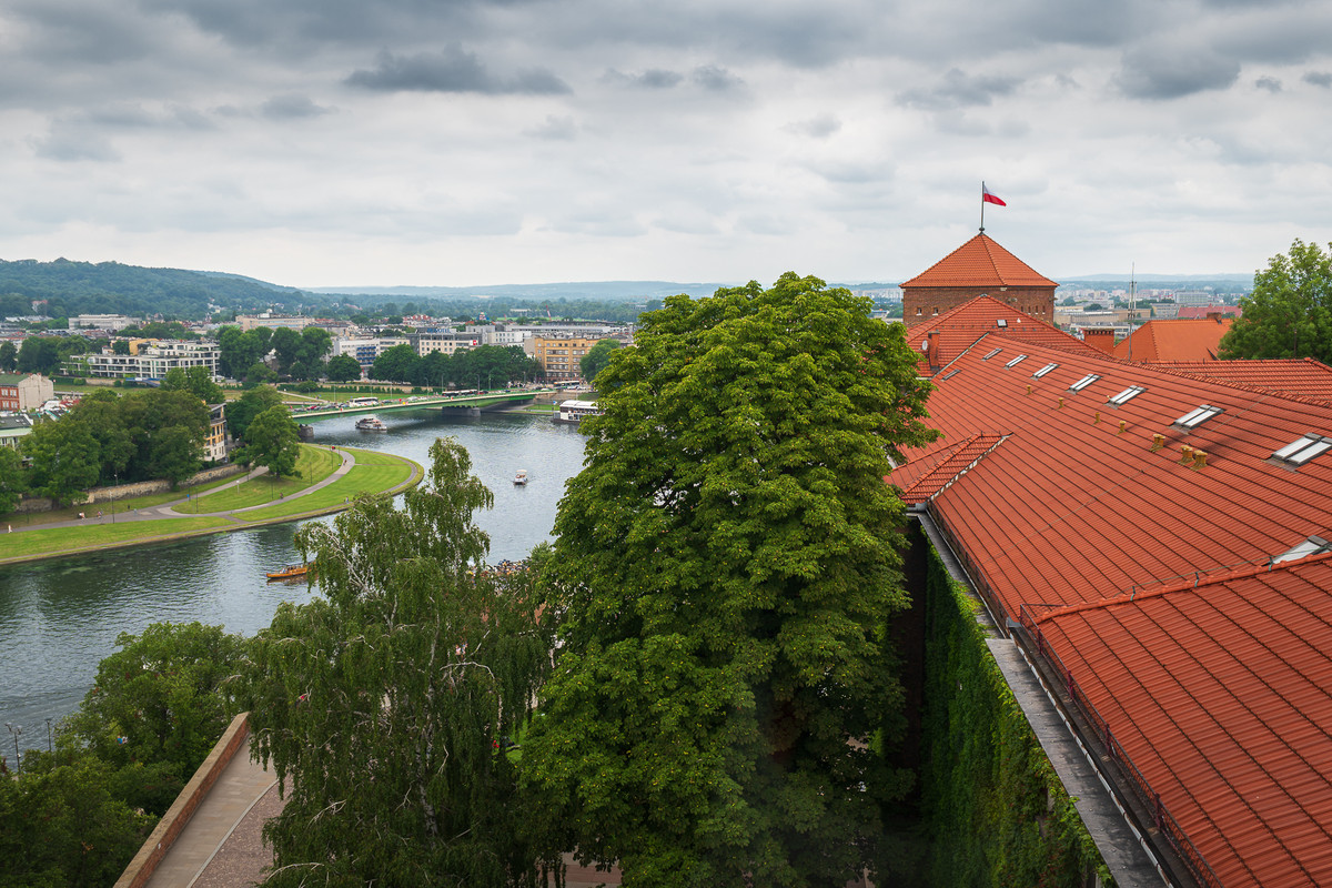 Obrázek