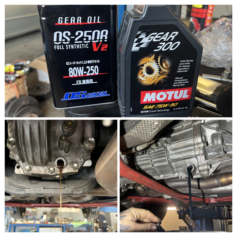 EC1474C7 37BD 4420 8265 54AA7A7A325D COLLAGE