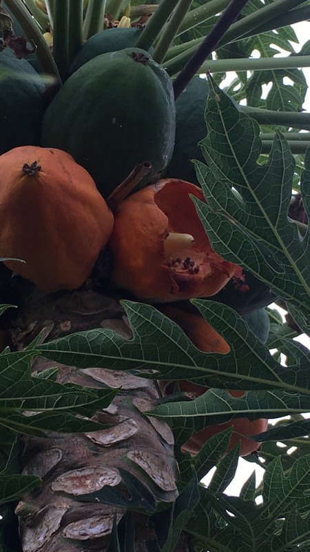 DAFF9EAE-41A5-4C2B-9C76-257095DC1F63