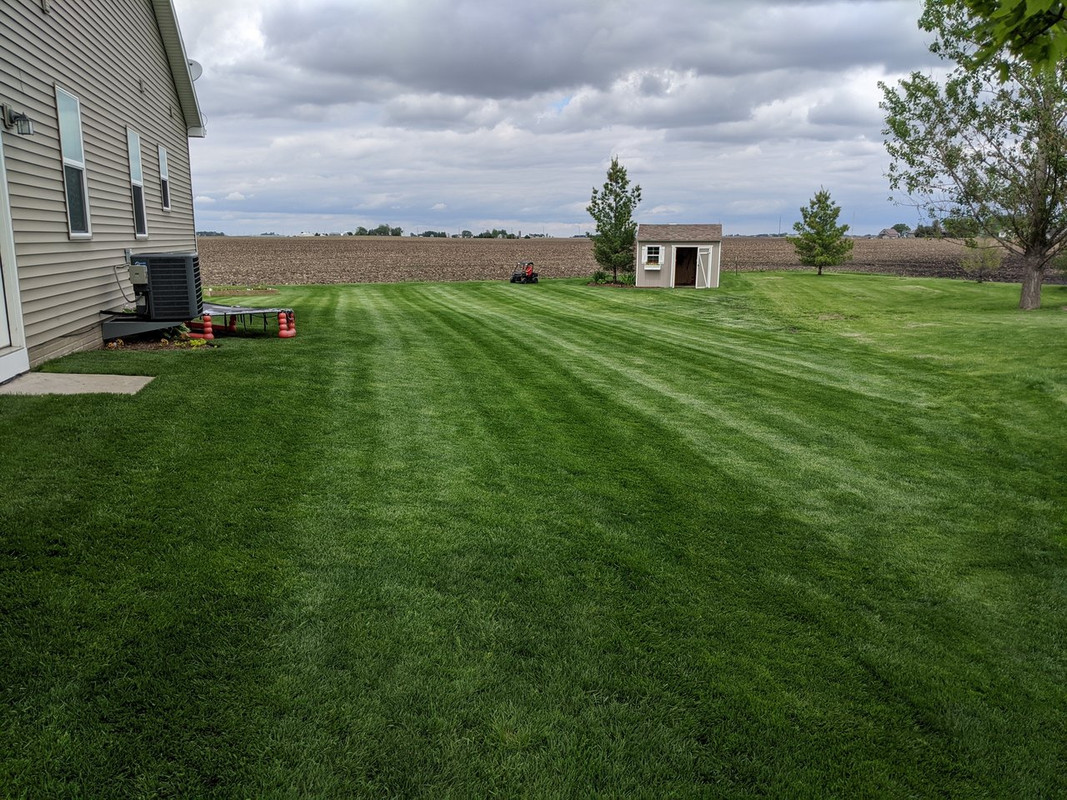 MVIMG_20200522_143754