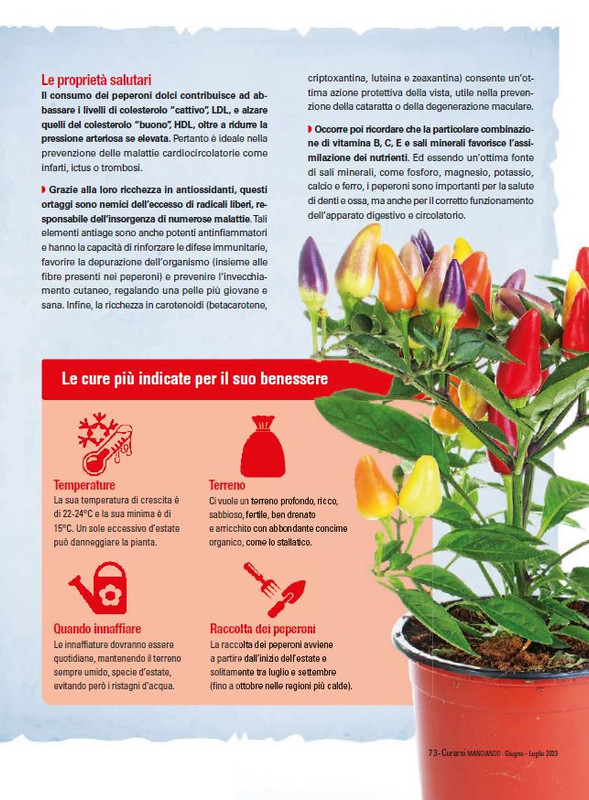 Cur Mang Giu-Lug 2023 (12)