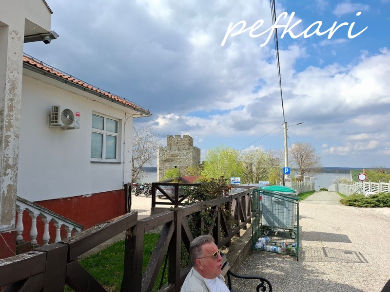 Slika