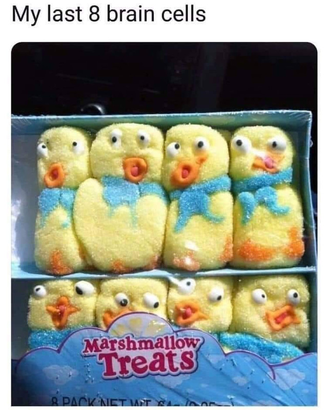 brain-cell-chicks