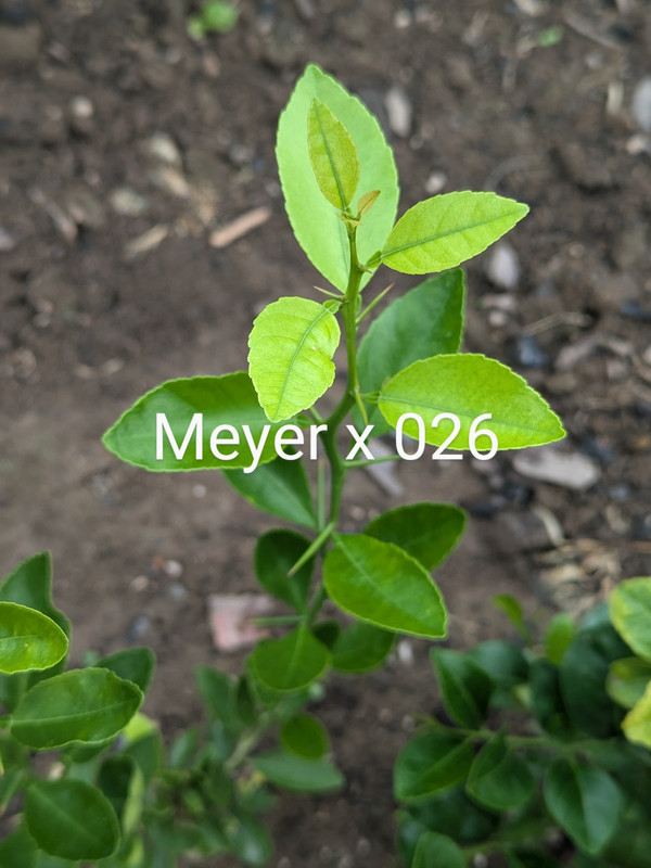 PXL_20240818_162956059~2