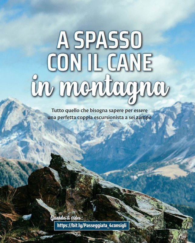 QuattroZampe Set 2021 (6)