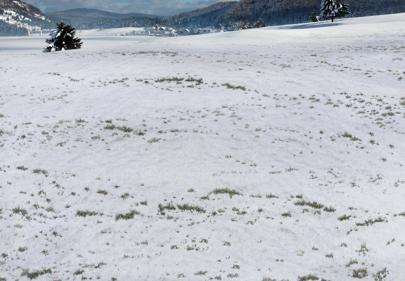Image: CMBKSNTR45734689.png