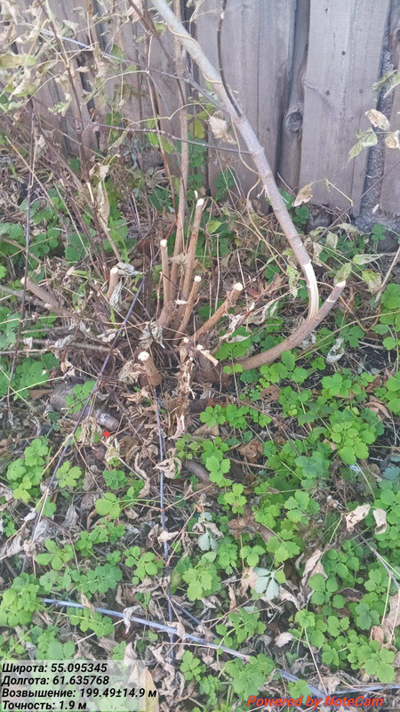 IMG_20251007_172408_106