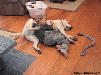 alittlegiveandtake.gif
