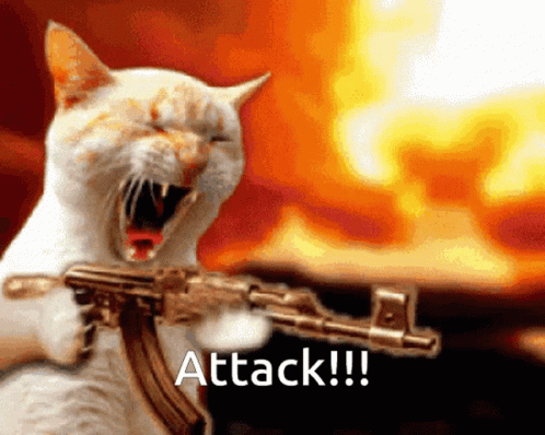 IMG-0603.gif